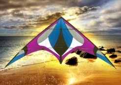 Freebird Purple -Radio Control & Model Shop 20431 freebirdpurple 2 lg