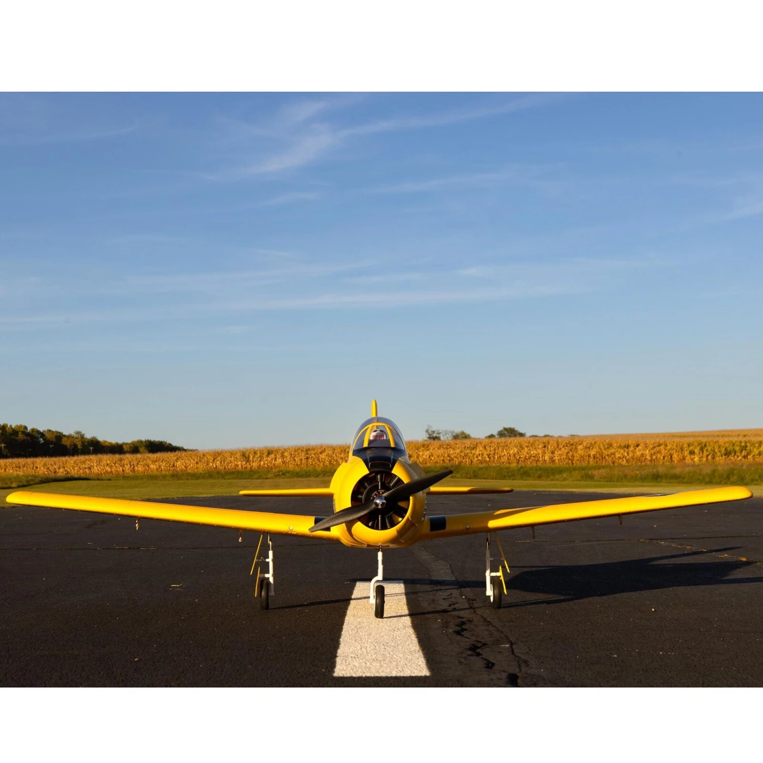 E-Flite Carbon-Z T-28 Trojan 2.0m With Smart BNF Basic 11 E-Flite Carbon-Z T-28 Trojan 2.0m With Smart BNF Basic - Image 9