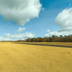 RealFlight Evolution 2023 Quarterly Content Pack 2 -Radio Control & Model Shop RFL2023QCP2 10