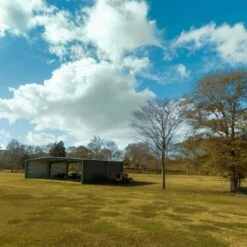 RealFlight Evolution 2023 Quarterly Content Pack 2 -Radio Control & Model Shop RFL2023QCP2 8