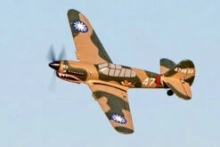 Curtiss P-40 Warhawk Micro RTF Airplane W/PASS System